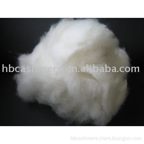 white Cashmere fibre